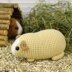 Chubby guinea pig