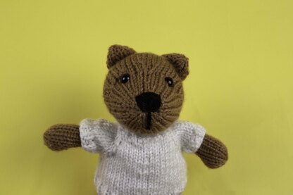 Deramores Bear in Deramores PDF
