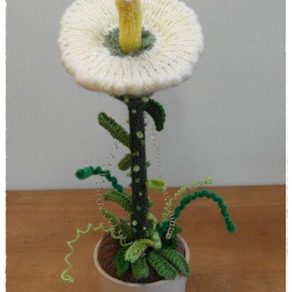 Pet Triffid