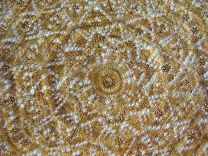 Ju Hua, a circle shawl