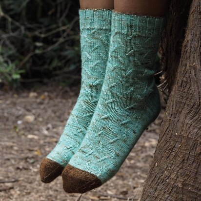 Feathering the Nest Socks