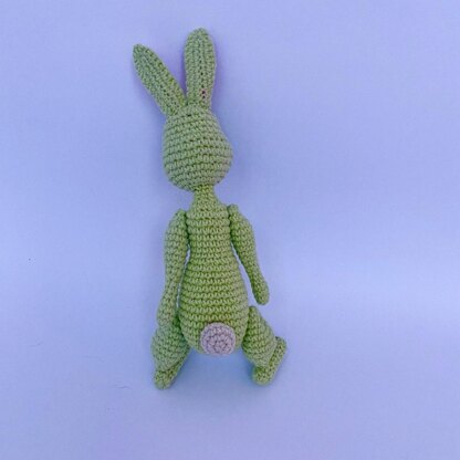 Rabbit