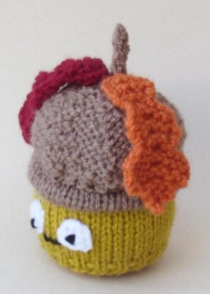 Acorn Chocolate Orange Cosy