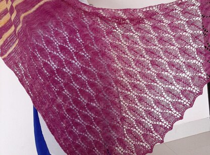 Sindhu Shawl