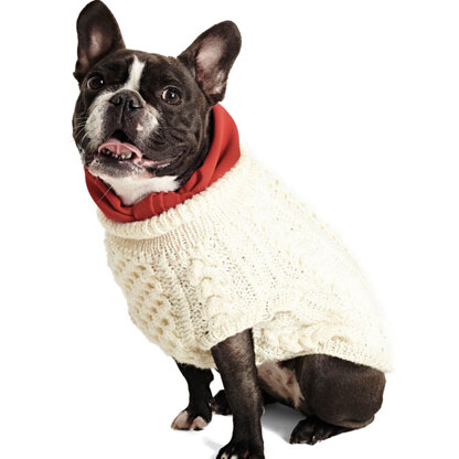 Aran Doggy - Free Dog jumper Knitting Pattern For Dogs in Debbie Bliss Cashmerino Aran by Debbie Bliss