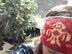 Crow Headband