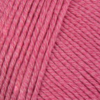 Raspberry Ice (610)