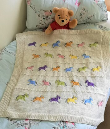 Little Pony Blanket