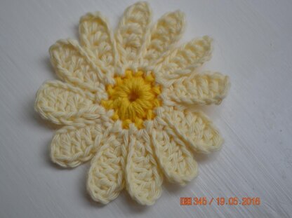 Crochet Daisies