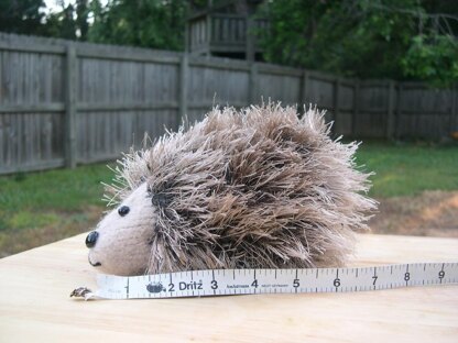 Large and Medium Hedgehogs