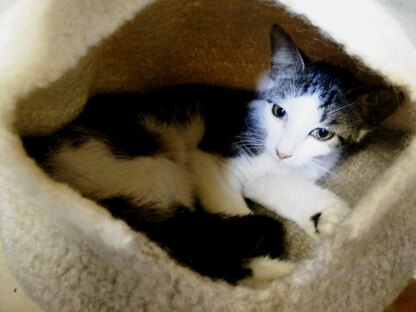 Felted Cat Cave/Bed