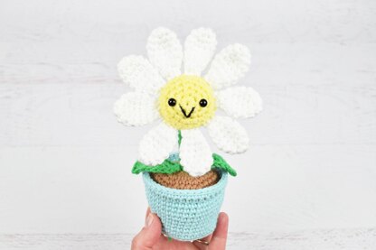 Potted Daisy