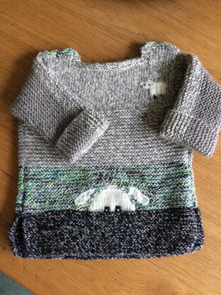 Baby Sweater