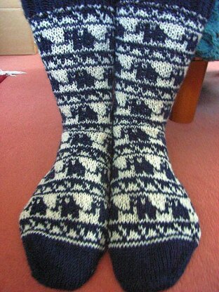 Blue elephant socks