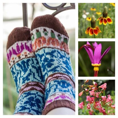 Widlflower Meadow Socks
