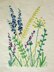 DMC Wild Flowers (with Magic Paper) Embroidery Kit - 40cm x 1cm x 40cm