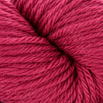 Beet (264)