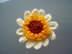100 Flowers to Knit and Crochet