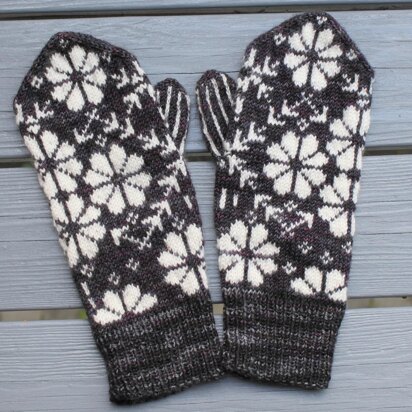 Phlox Mittens