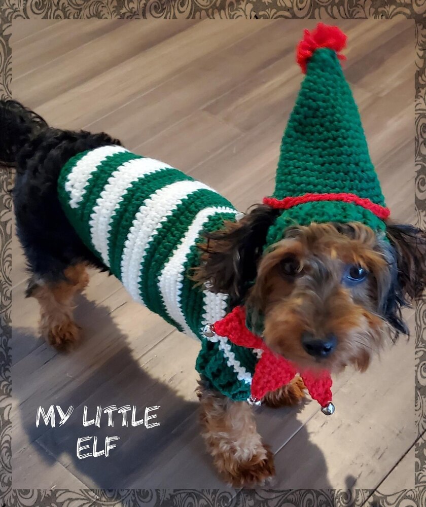 Elf Dog Sweater Crochet pattern by Sharon Santorum LoveCrafts