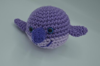 Narwhal Family