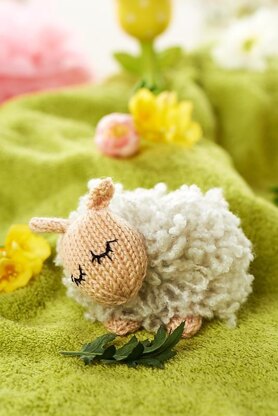 Sleepy Sheep