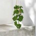 Hollow Green Plant Car Hanging