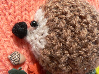 Hedgehog Mittens