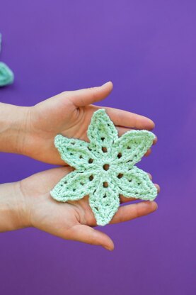 Star Rays motifs