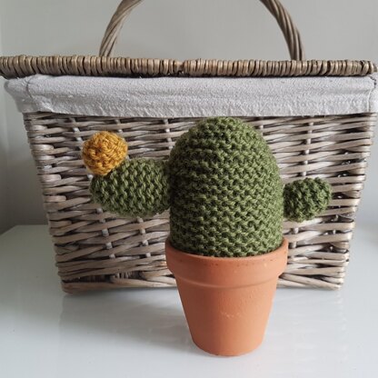 Beginner's Knit a Cactus