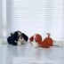 Plush Puppy Cavalier Spaniel