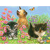 Royal Brush Color Pencil By Number Kit 8.75"X11.75" - Kittens