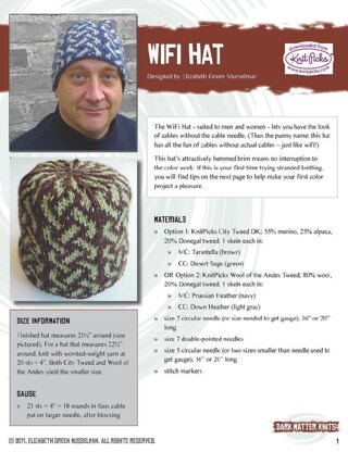 WiFi Hat