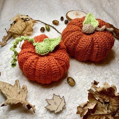 The woolly pumpkin