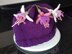 Knitted Fuchsia