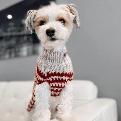 Eddie Striped Dog Sweater - knitting pattern