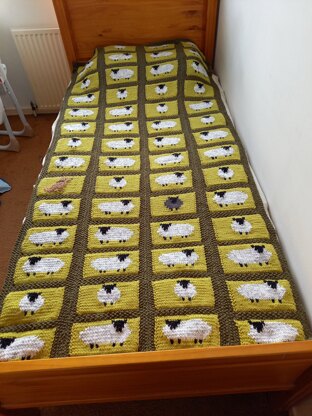 Sheep Blanket