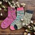 FlowerPot Sock Set