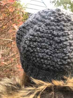 Winter Picnics Beanie