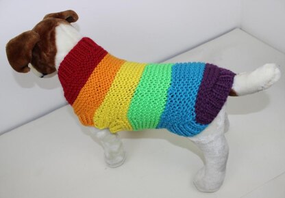 Chunky Spectrum Dog Coat