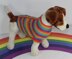 Small Dog Rainbow 4ply Back Button Up Coat