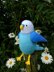Clifford the Budgie