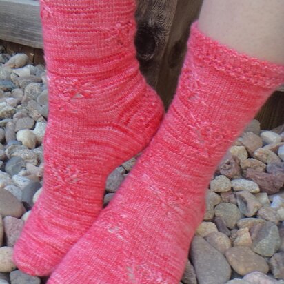 Ladybug Crawl Socks