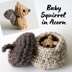 Baby Squirrel in Acorn