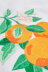 Orange Blossom in DMC - PAT0605 - Downloadable PDF