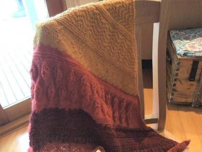 Sanctuary Place Shawl