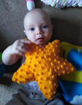 Starfish Baby Toy