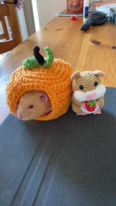 Hamster and pumpkin home