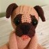 Perry the Pug - UK Terminology - Amigurumi