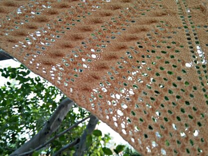 Cables and Lace Shawlette